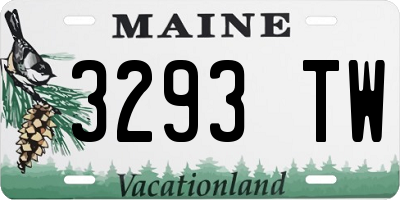 ME license plate 3293TW