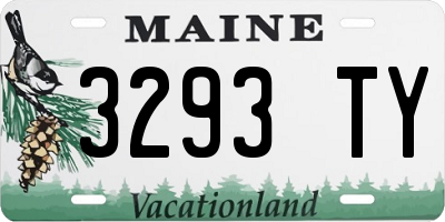 ME license plate 3293TY