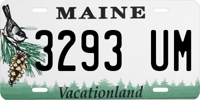 ME license plate 3293UM