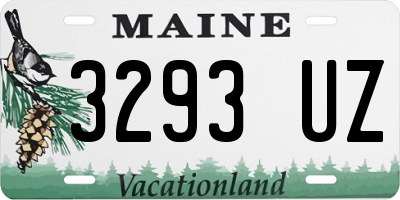 ME license plate 3293UZ