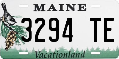 ME license plate 3294TE