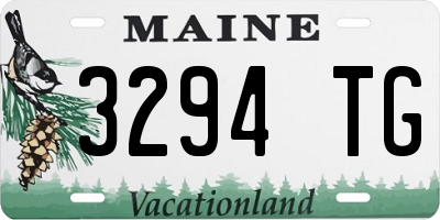 ME license plate 3294TG