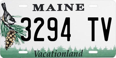 ME license plate 3294TV