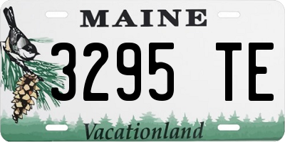 ME license plate 3295TE