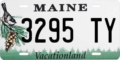 ME license plate 3295TY