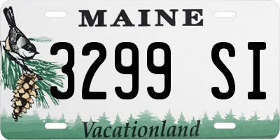 ME license plate 3299SI