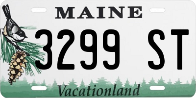 ME license plate 3299ST
