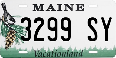 ME license plate 3299SY