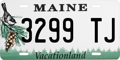 ME license plate 3299TJ