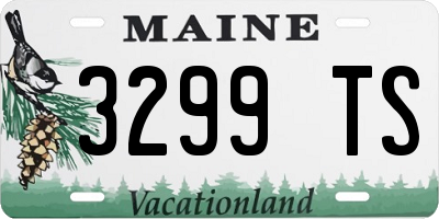 ME license plate 3299TS