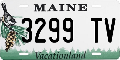 ME license plate 3299TV