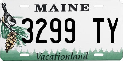 ME license plate 3299TY