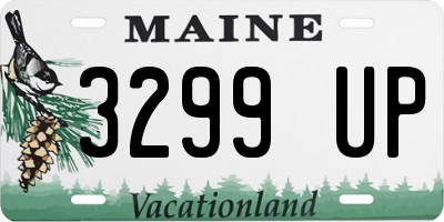 ME license plate 3299UP