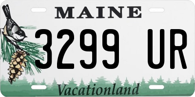 ME license plate 3299UR