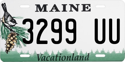 ME license plate 3299UU