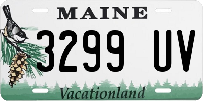 ME license plate 3299UV