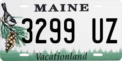 ME license plate 3299UZ