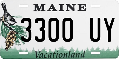 ME license plate 3300UY