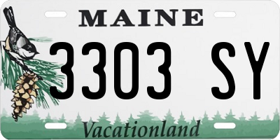 ME license plate 3303SY