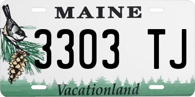 ME license plate 3303TJ