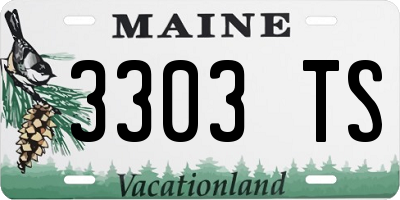 ME license plate 3303TS