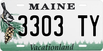 ME license plate 3303TY