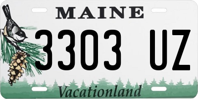 ME license plate 3303UZ