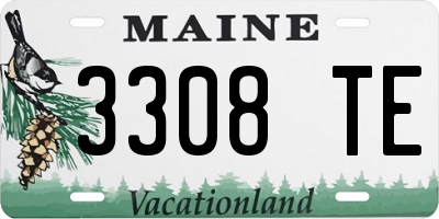 ME license plate 3308TE