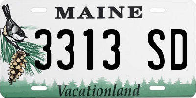 ME license plate 3313SD