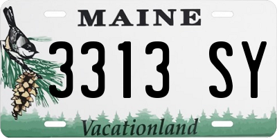 ME license plate 3313SY