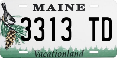 ME license plate 3313TD