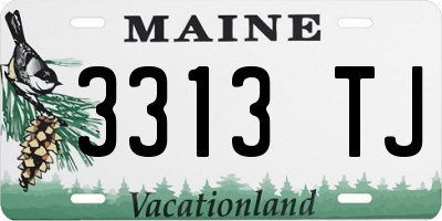 ME license plate 3313TJ