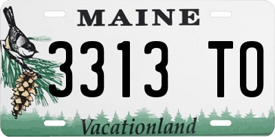 ME license plate 3313TO