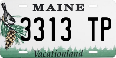 ME license plate 3313TP