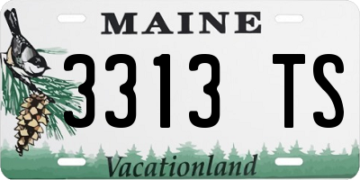 ME license plate 3313TS