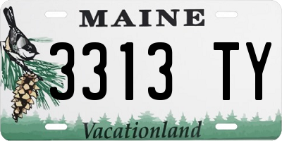 ME license plate 3313TY