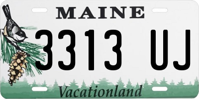 ME license plate 3313UJ