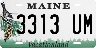 ME license plate 3313UM