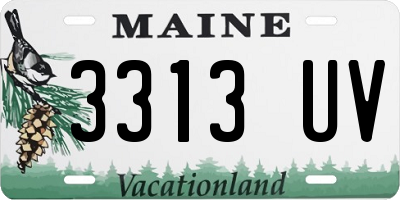 ME license plate 3313UV