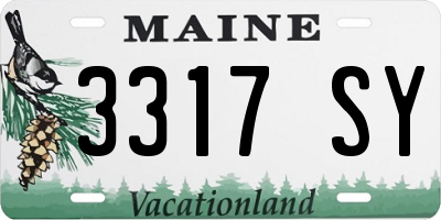 ME license plate 3317SY