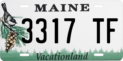 ME license plate 3317TF