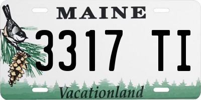 ME license plate 3317TI