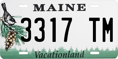 ME license plate 3317TM