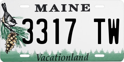 ME license plate 3317TW