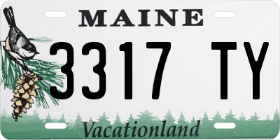 ME license plate 3317TY