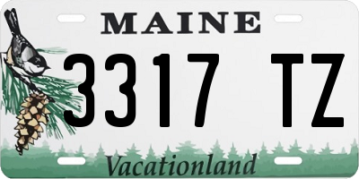 ME license plate 3317TZ