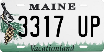 ME license plate 3317UP