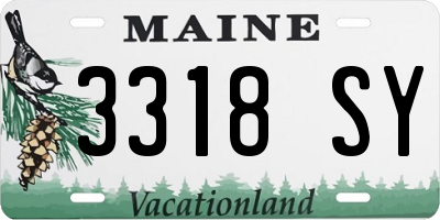 ME license plate 3318SY