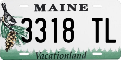 ME license plate 3318TL