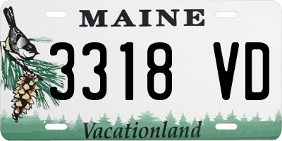 ME license plate 3318VD